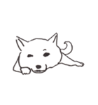 我が家のまめしば（個別スタンプ：20）