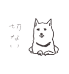 我が家のまめしば（個別スタンプ：26）