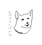 我が家のまめしば（個別スタンプ：27）