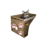 こうたろうのスタンプ！（個別スタンプ：7）