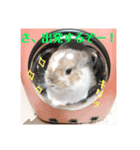 ぼくちゃんたち ①（個別スタンプ：3）