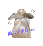 ぼくちゃんたち ①（個別スタンプ：6）