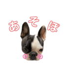 PA N CHI（個別スタンプ：1）