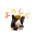 PA N CHI（個別スタンプ：8）