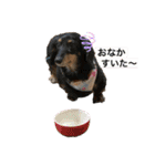 大串家犬のスタンプ（個別スタンプ：14）