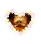 かわいいペルシャ猫⭐︎ユメちゃんスタンプ（個別スタンプ：3）
