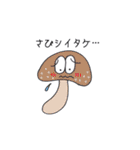 カエルのまろちゃん。3（個別スタンプ：13）