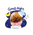 ダックスのミルちゃん♡（個別スタンプ：3）