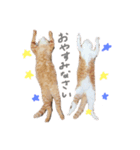 パンとライス①（個別スタンプ：2）