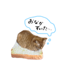 パンとライス①（個別スタンプ：6）