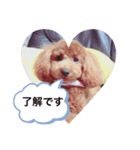 あならさなまらあらな（個別スタンプ：7）