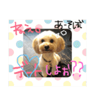 まるぷーれんの日常3（個別スタンプ：10）
