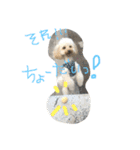 まるぷーれんの日常3（個別スタンプ：29）