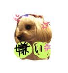 まるぷーれんの日常3（個別スタンプ：32）