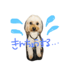 まるぷーれんの日常3（個別スタンプ：38）