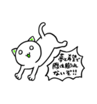 謎の生命体ニャーン（個別スタンプ：40）