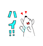 シロとクロ 日常会話スタンプ（個別スタンプ：7）