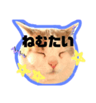 のなめ家のにゃんず①（個別スタンプ：2）