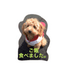 凛萌父母婆そしてリリィ（個別スタンプ：11）