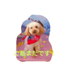 凛萌父母婆そしてリリィ（個別スタンプ：12）