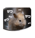 キンクマロングしゅんと時々シャチョー（個別スタンプ：3）