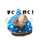 キンクマロングしゅんと時々シャチョー（個別スタンプ：10）