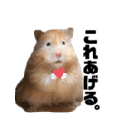 キンクマロングしゅんと時々シャチョー（個別スタンプ：26）