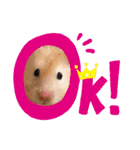 キンクマロングしゅんと時々シャチョー（個別スタンプ：36）