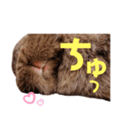 おむぎスタンプ2（個別スタンプ：21）