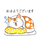 うちの3ねこたち（気持ちを伝える3ねこ）（個別スタンプ：1）