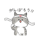 うちの3ねこたち（気持ちを伝える3ねこ）（個別スタンプ：24）