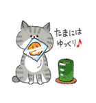 うちの3ねこたち（気持ちを伝える3ねこ）（個別スタンプ：26）