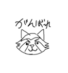 感受性豊か？雑アライグマスタンプ（個別スタンプ：8）