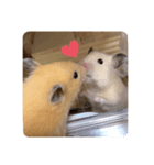 はなひめ（個別スタンプ：1）