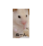 はなひめ（個別スタンプ：5）