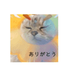 デイジーしか勝たん！（個別スタンプ：9）