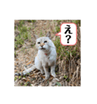 デイジーしか勝たん！（個別スタンプ：10）