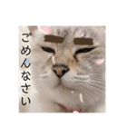 デイジーしか勝たん！（個別スタンプ：11）