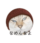 デイジーしか勝たん！（個別スタンプ：20）