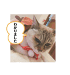デイジーしか勝たん！（個別スタンプ：25）