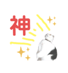 白黒ネコの日常  パート2（個別スタンプ：14）