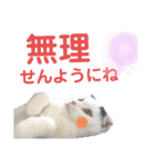 白黒ネコの日常  パート2（個別スタンプ：15）