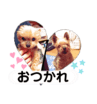 ～家族用スタンプ～（個別スタンプ：1）