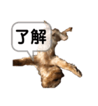 ～家族用スタンプ～（個別スタンプ：2）