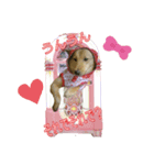 雑種犬ラウルPart4（個別スタンプ：3）