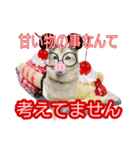 雑種犬ラウルPart4（個別スタンプ：5）