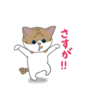 巻きしっぽネコ2（個別スタンプ：3）