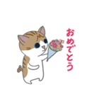 巻きしっぽネコ2（個別スタンプ：5）