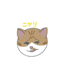 巻きしっぽネコ2（個別スタンプ：8）