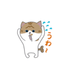 巻きしっぽネコ2（個別スタンプ：10）